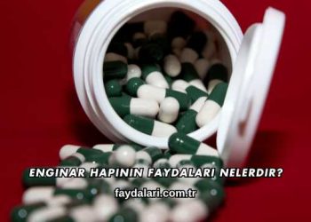 Enginar Hapının Faydaları Nelerdir?