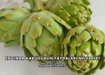 Enginar Kabuğunun Faydaları Nelerdir?