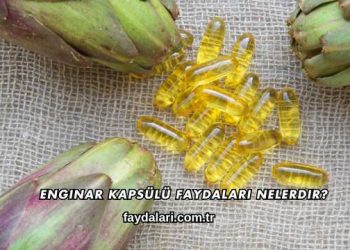 Enginar Kapsülü Faydaları Nelerdir?