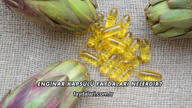 Enginar Kapsülü Faydaları Nelerdir?