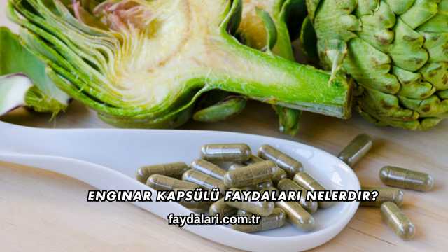 Enginar Kapsülü Faydaları Nelerdir?