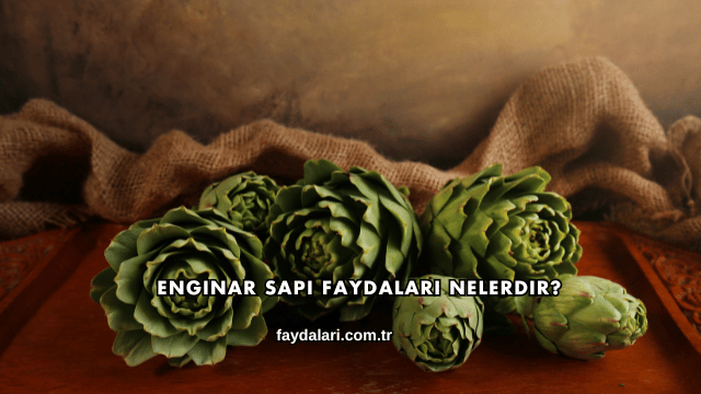Enginar Sapı Faydaları Nelerdir?