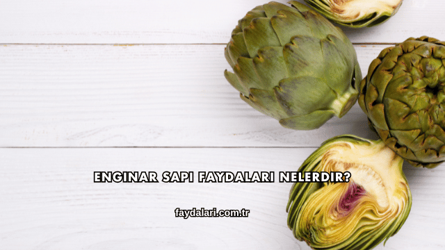 Enginar Sapı Faydaları Nelerdir?