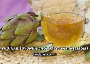 Enginar Suyunun Cilde Faydaları Nelerdir?