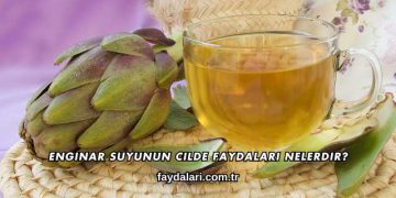 Enginar Suyunun Cilde Faydaları Nelerdir?