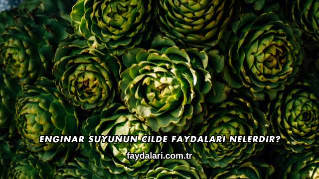 Enginar Suyunun Cilde Faydaları Nelerdir?