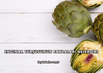 Enginar Turşusunun Faydaları Nelerdir?