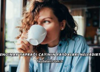 Enginar Yaprağı Çayının Faydaları Nelerdir?