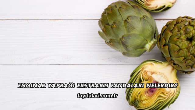 Enginar Yaprağı Ekstraktı Faydaları Nelerdir?