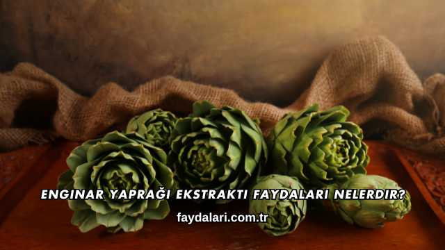 Enginar Yaprağı Ekstraktı Faydaları Nelerdir?