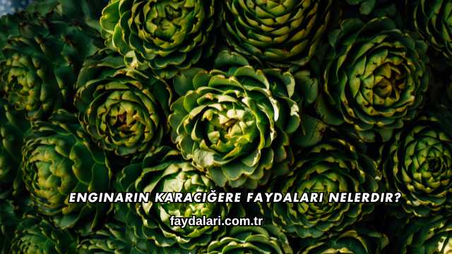 Enginarın Karaciğere Faydaları Nelerdir?