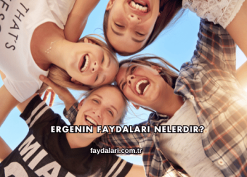 Ergenin Faydaları Nelerdir?