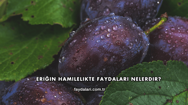 Eriğin Hamilelikte Faydaları Nelerdir?