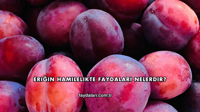 Eriğin Hamilelikte Faydaları Nelerdir?
