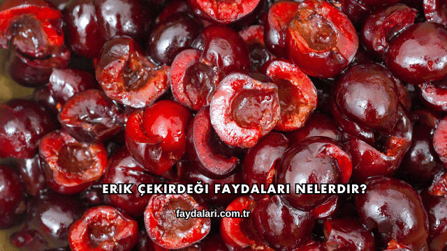 Erik Çekirdeği Faydaları Nelerdir?