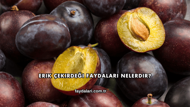 Erik Çekirdeği Faydaları Nelerdir?