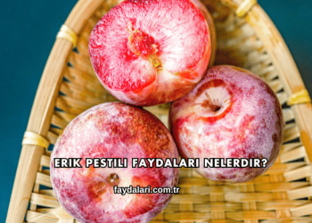 Erik Pestili Faydaları Nelerdir?