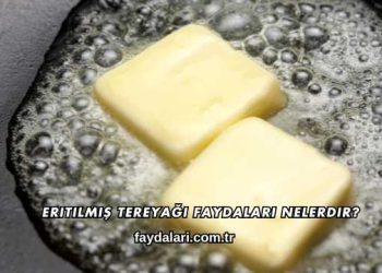 Eritilmiş Tereyağı Faydaları Nelerdir?