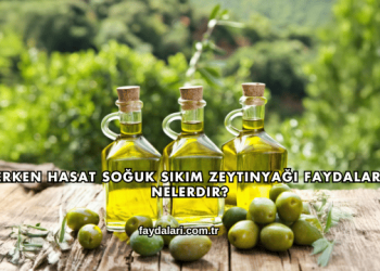 Erken Hasat Soğuk Sıkım Zeytinyağı Faydaları Nelerdir?