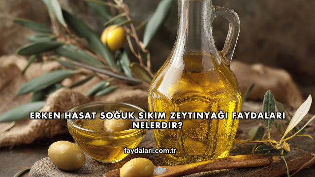 Erken Hasat Soğuk Sıkım Zeytinyağı Faydaları Nelerdir?