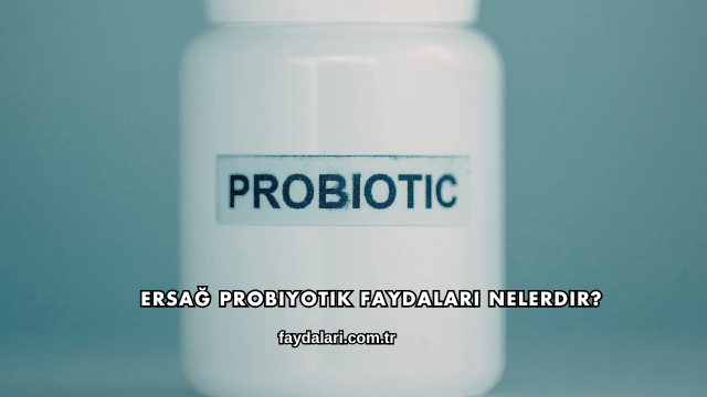 Ersağ Probiyotik Faydaları Nelerdir?