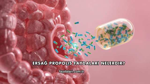 Ersağ Propolis Faydaları Nelerdir?