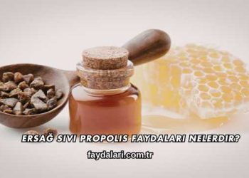 Ersağ Sıvı Propolis Faydaları Nelerdir?