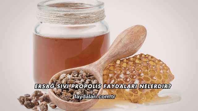 Ersağ Sıvı Propolis Faydaları Nelerdir?