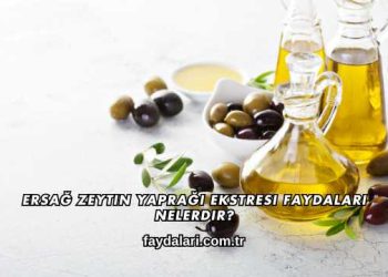 Ersağ Zeytin Yaprağı Ekstresi Faydaları Nelerdir?