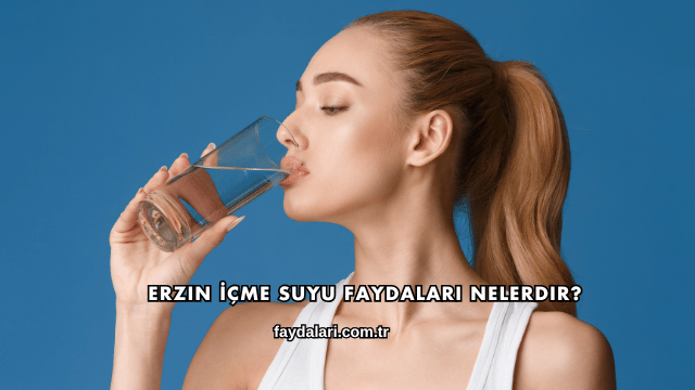 Erzin İçme Suyu Faydaları Nelerdir?