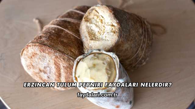 Erzincan Tulum Peyniri Faydaları Nelerdir?