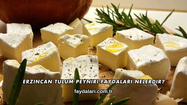 Erzincan Tulum Peyniri Faydaları Nelerdir?