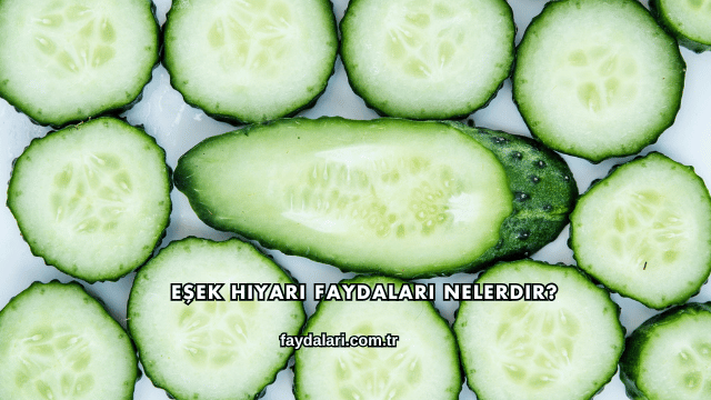 Eşek Hıyarı Faydaları Nelerdir?