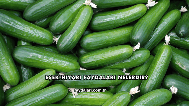 Eşek Hıyarı Faydaları Nelerdir?