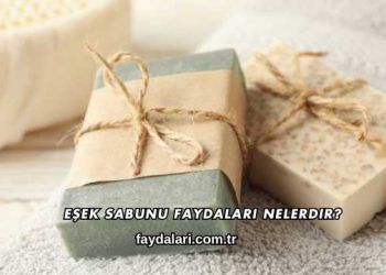 Eşek Sabunu Faydaları Nelerdir?