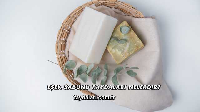 Eşek Sabunu Faydaları Nelerdir?