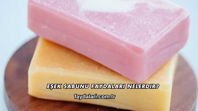 Eşek Sabunu Faydaları Nelerdir?