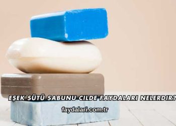 Eşek Sütü Sabunu Cilde Faydaları Nelerdir?