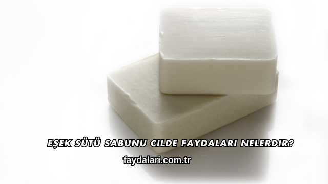 Eşek Sütü Sabunu Cilde Faydaları Nelerdir?