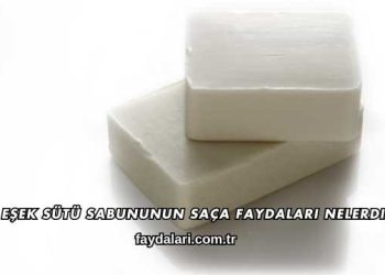Eşek Sütü Sabununun Saça Faydaları Nelerdir?