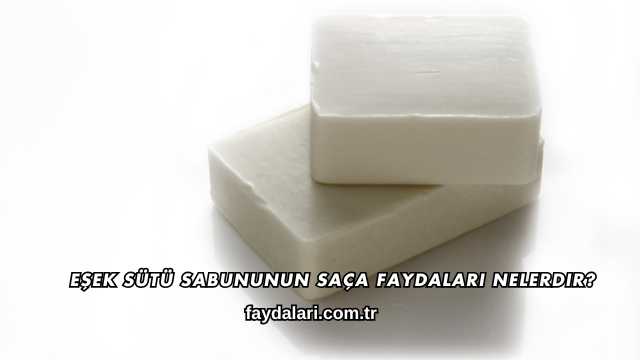 Eşek Sütü Sabununun Saça Faydaları Nelerdir?