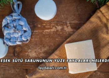 Eşek Sütü Sabununun Yüze Faydaları Nelerdir?