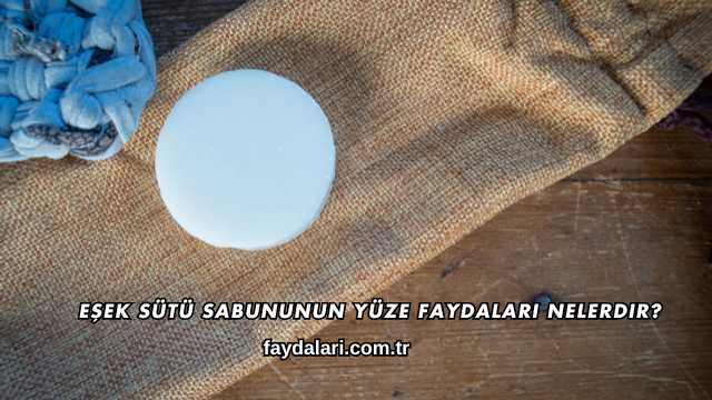 Eşek Sütü Sabununun Yüze Faydaları Nelerdir?