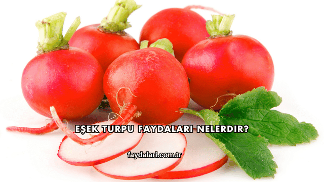 Eşek Turpu Faydaları Nelerdir?