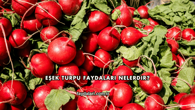 Eşek Turpu Faydaları Nelerdir?