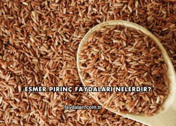 Esmer Pirinç Faydaları Nelerdir?