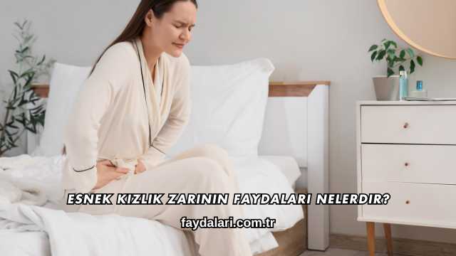 Esnek Kızlık Zarının Faydaları Nelerdir?