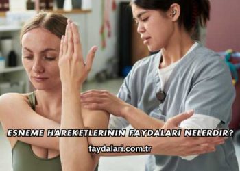 Esneme Hareketlerinin Faydaları Nelerdir?