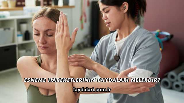 Esneme Hareketlerinin Faydaları Nelerdir?