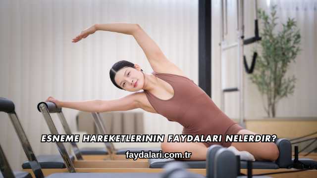 Esneme Hareketlerinin Faydaları Nelerdir?